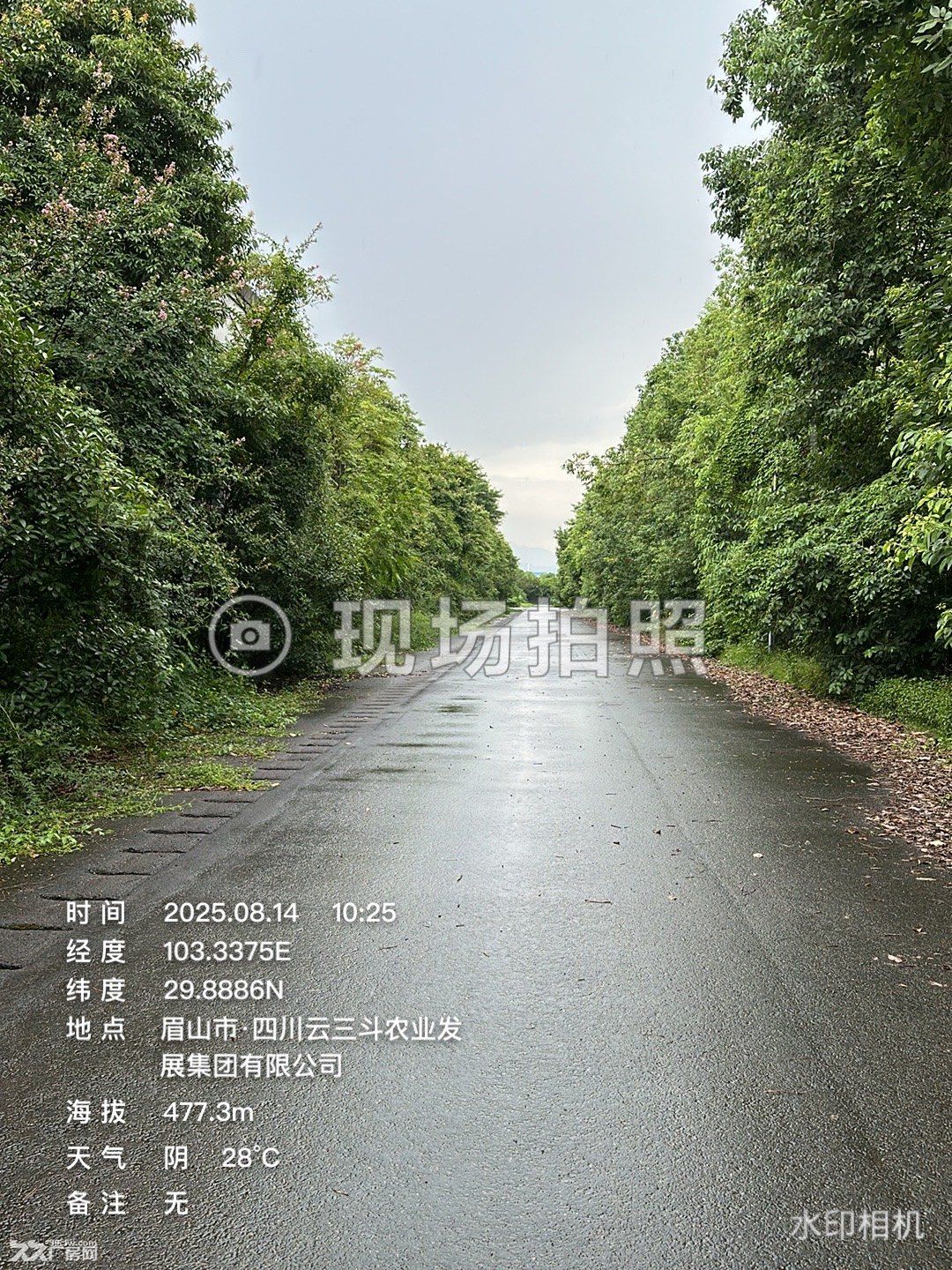 出租洪雅县生态食品加工产业园区酒厂厂房、设备市场出租 - 6