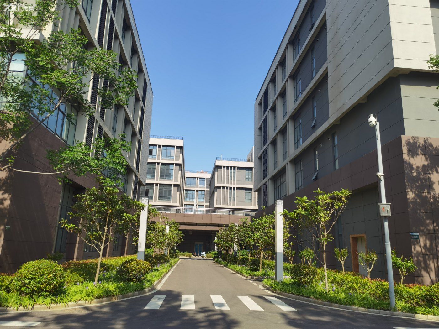 出租厂房、办公室一年起 - 3