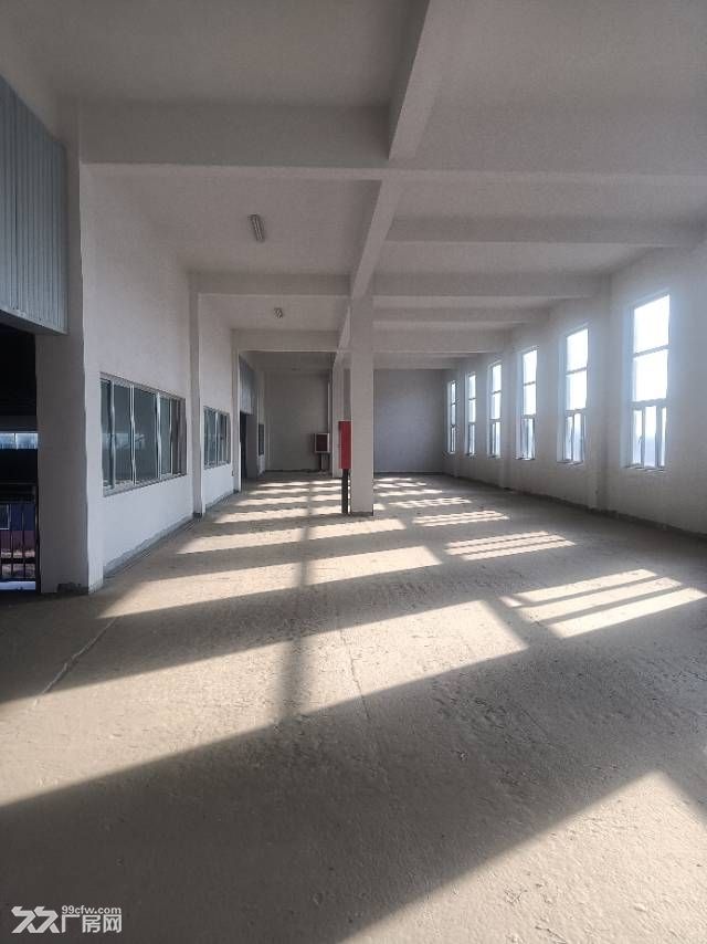 潍坊新建精品单层带院厂房出售