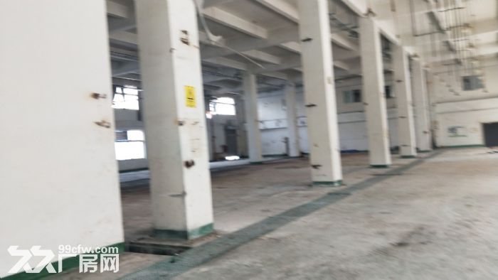 吴江开发区双层厂房20000至40000平米出租 - 4