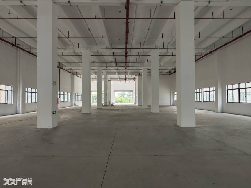 黄埔区云埔街道园区独栋单层2208平方带卸货高台 - 4