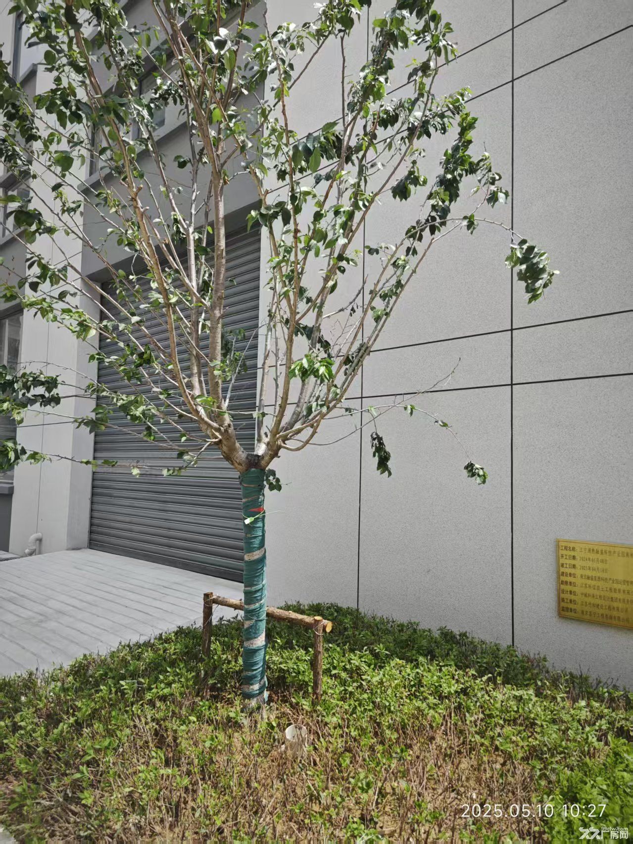 江宁区总部大楼 生产办公研发 首付30% 可按揭 独立产权 - 2