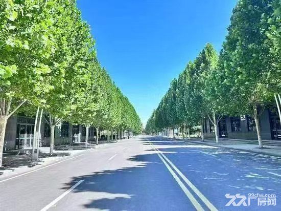 河北高碑店标准厂房招租 - 2