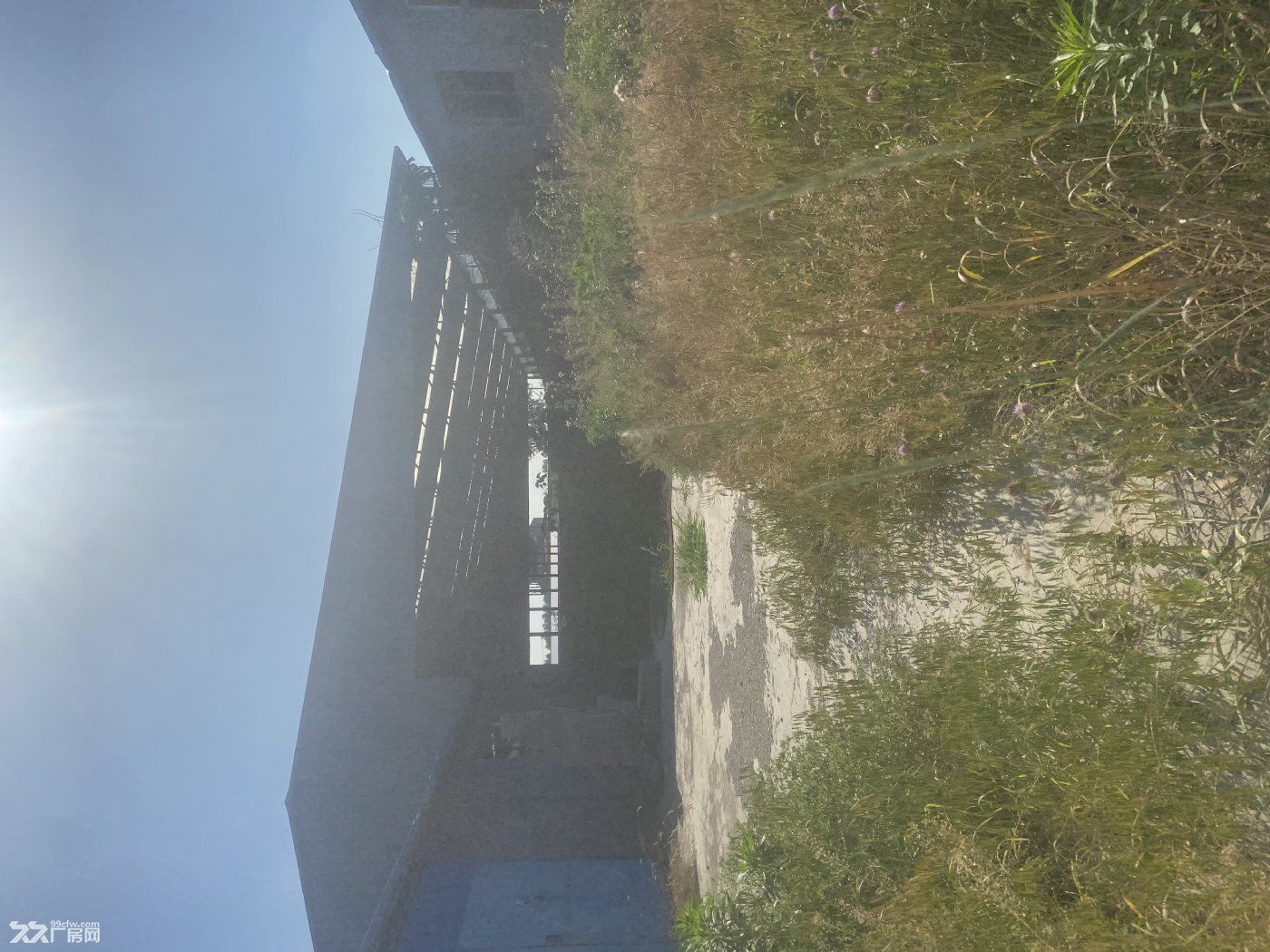 急租！潍坊市寒亭区独院厂房车间仓库便宜出租总面积2000+，可分租可整租 - 4