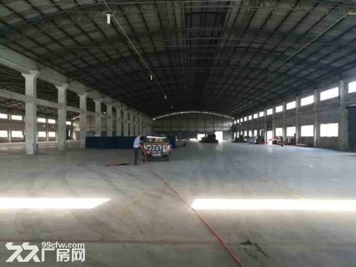 新会大泽可做任何重工业、喷粉，压铸！红木家具！5万平方工业园分租 - 4