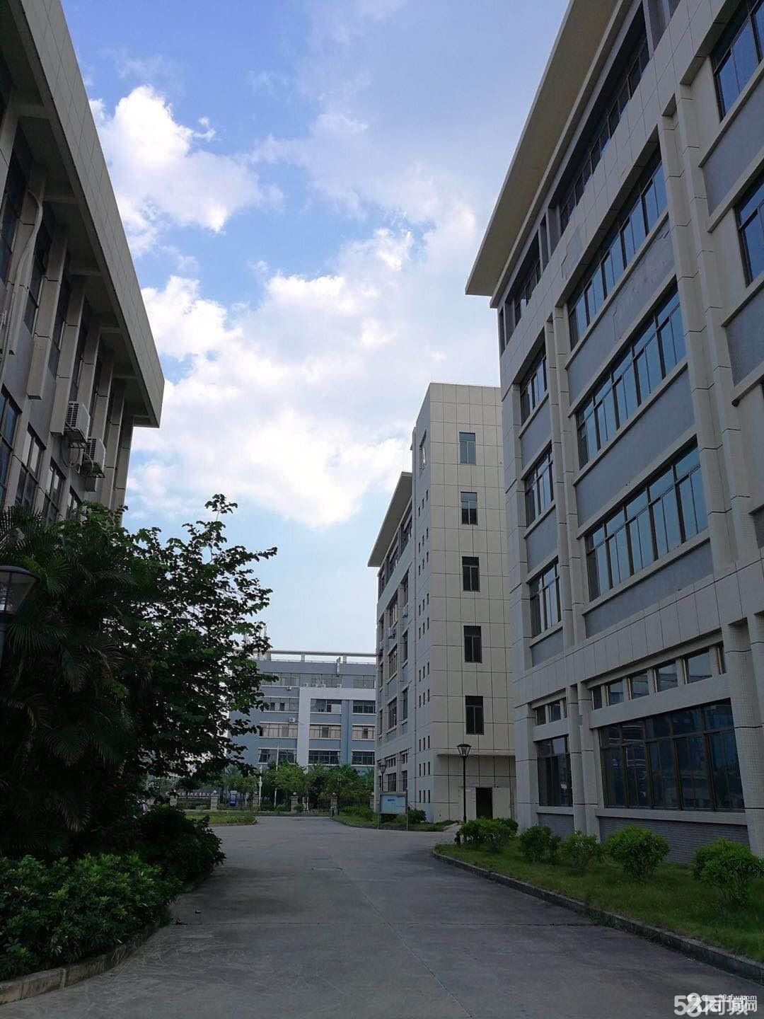《《合》》惠州市惠城区原房东标准厂房5楼3200平方出租 - 2
