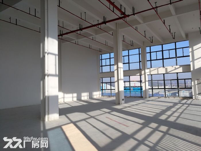 徐州高新区高标准厂房可分割出售 - 7