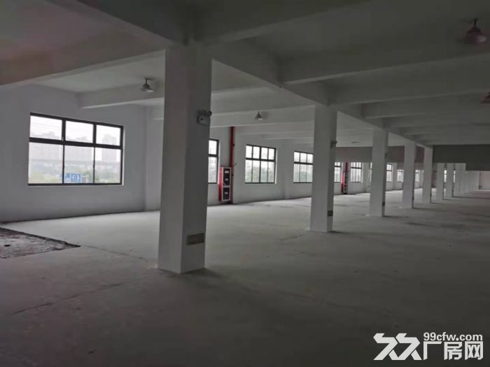 AA唯亭多层标准厂房 灵活出租 价优 - 3