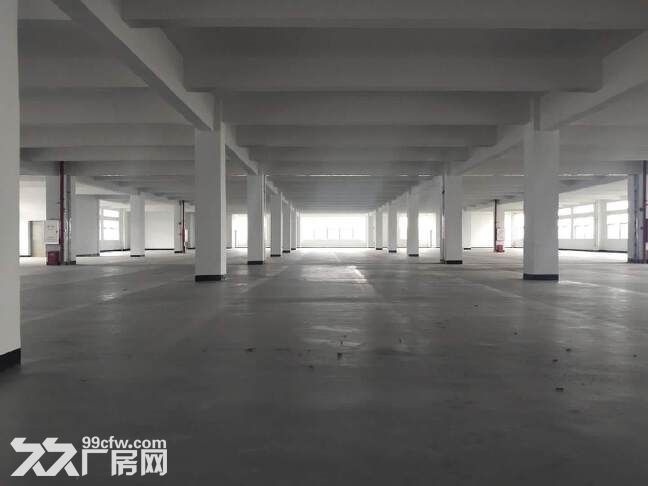 黄埔永和经济开发区3000方标准厂房，形象好，场地宽，可分租 - 4
