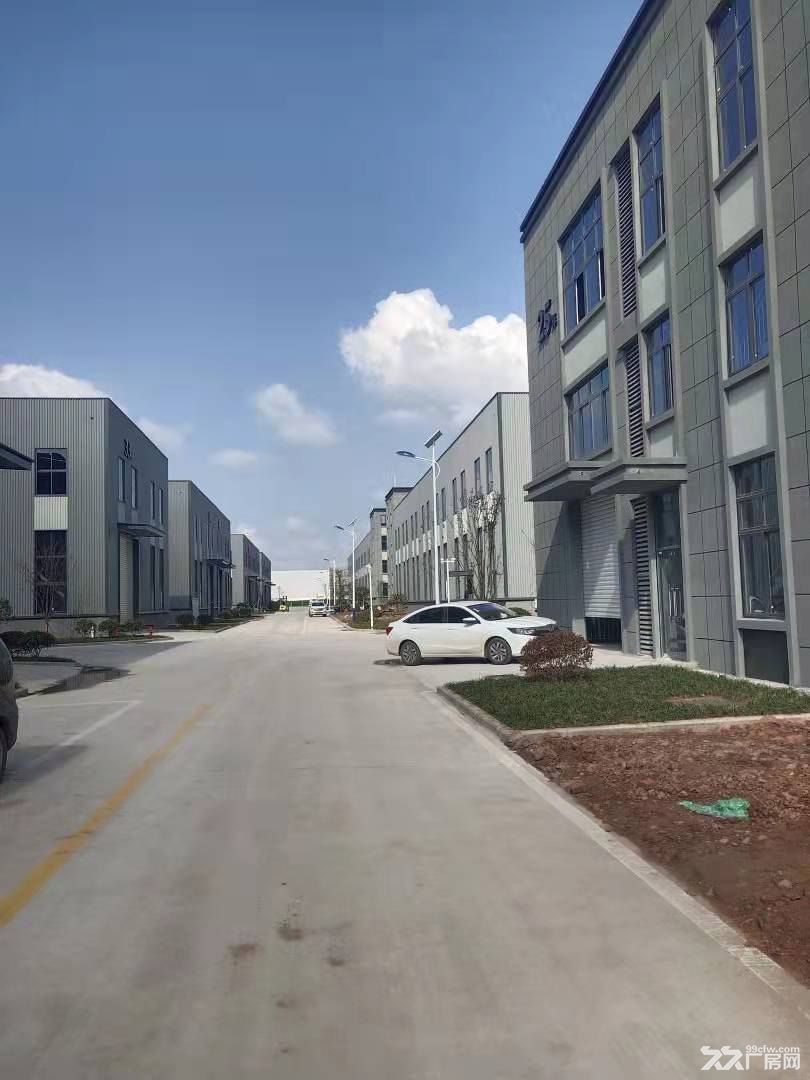 珞璜高速路口单层带院厂房出租