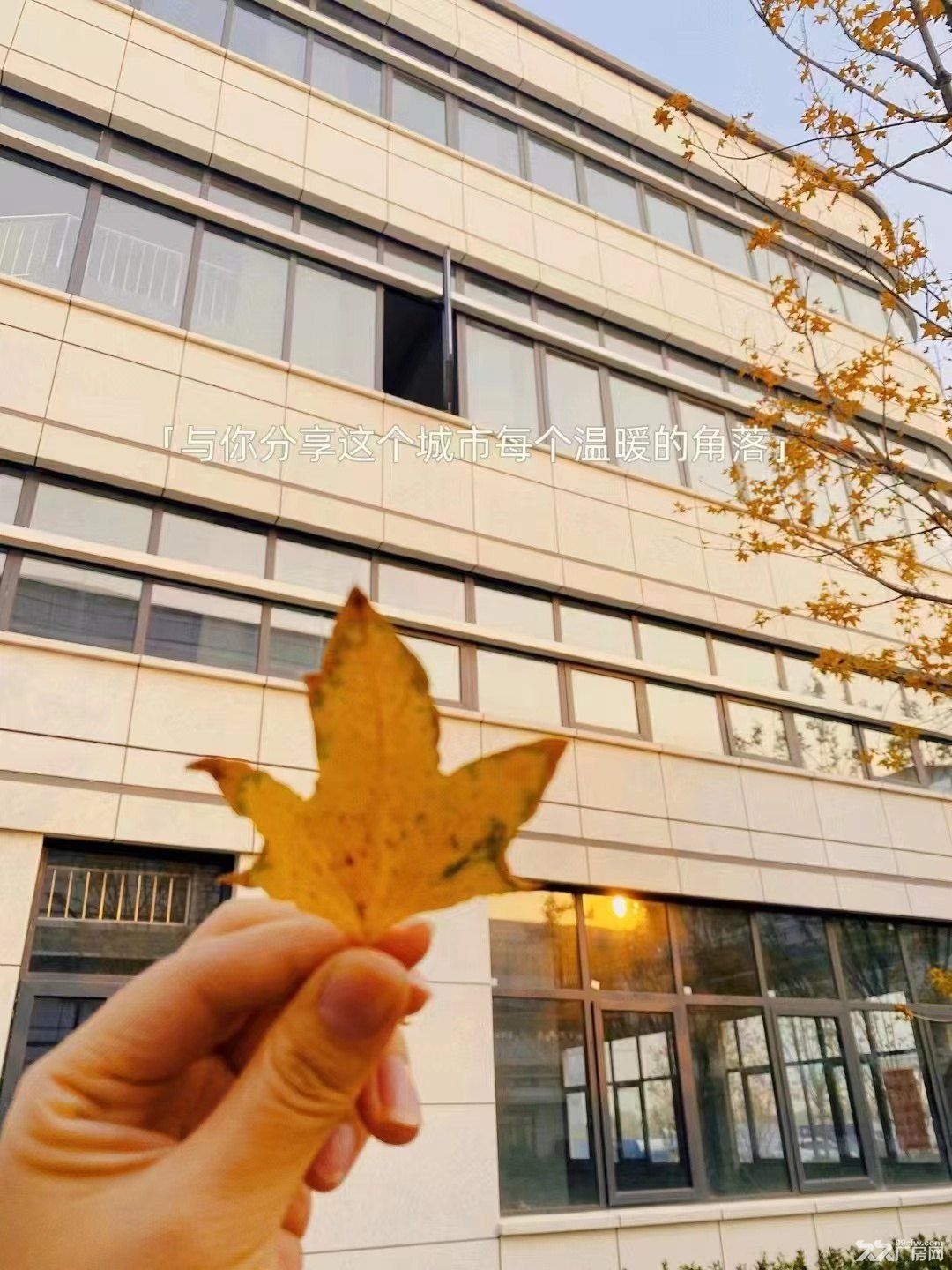 九龙湖全新现房 科技独栋别墅 可以生产研发办公 - 2