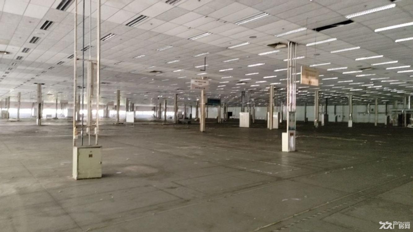浦东金桥城市副中心核心区地铁旁新出单层厂房层高8米 - 6