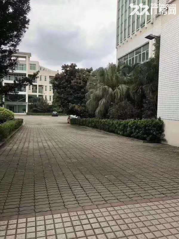 塘厦科苑城5万平独门独院厂房出租 可分租 近高速 - 2