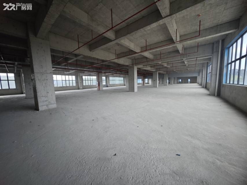 博罗全新7000㎡独栋厂房 - 4