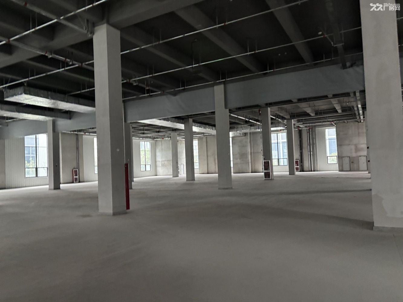 曹路104板块新建全新厂房，大房东直租 - 8