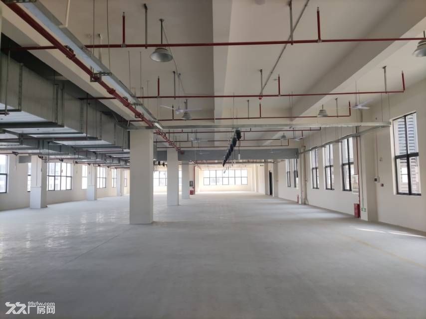 黄陂临空经济区品质厂房出租 - 3