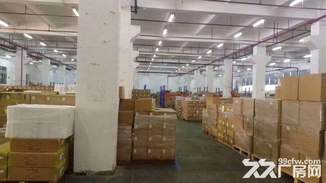 龙华大浪高新科技园原房东独栋厂房12500平，可分租，空地大，交通便利 - 3