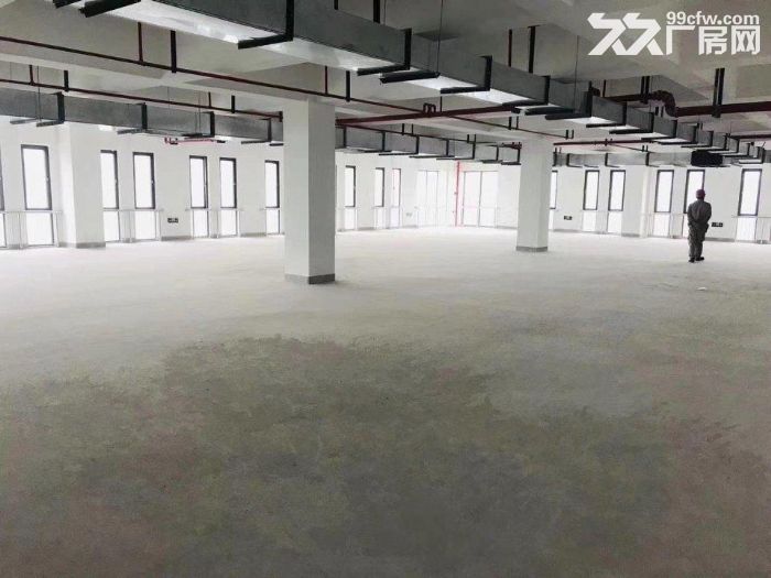 上海外高桥自由贸易试验区全新独立园区整幢招租 - 2