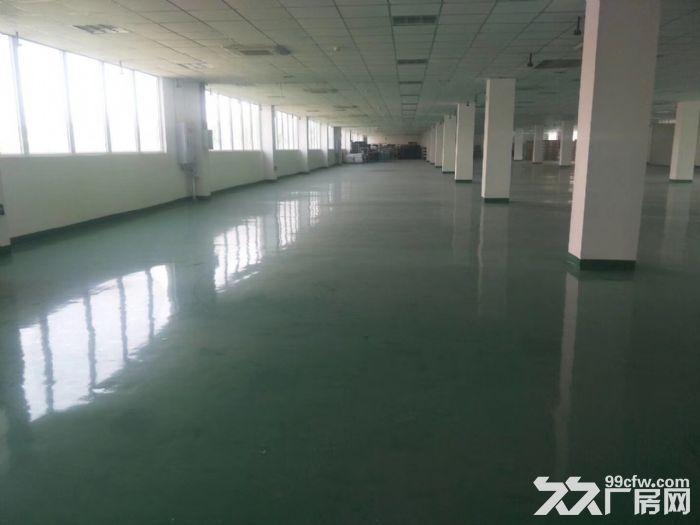 出售大邑县经济开发区独门独院厂房,双证齐全 - 2
