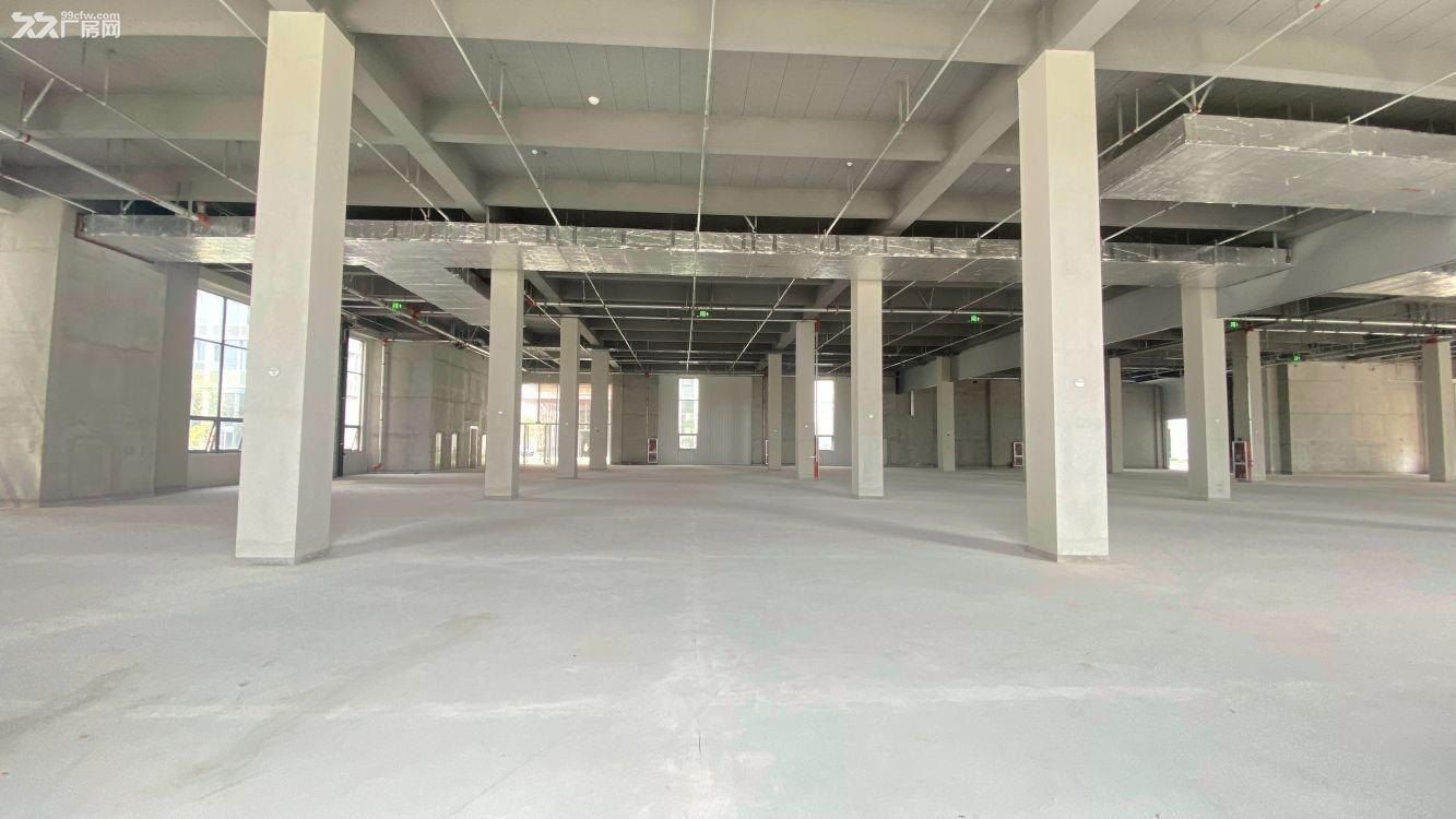 曹路镇 东部湾现代产业园 研发厂房 新材料半导体 - 5