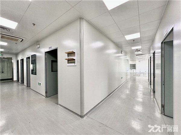 浦东精装实验室，张江药谷实验室，金桥研发实验室 - 6