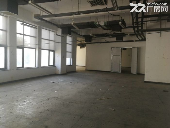 一层无地下 有物流门 可立项环评 仓储 轻加工 组装