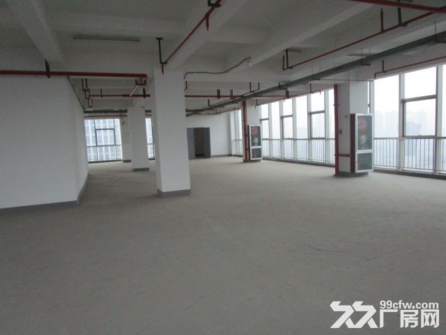 西兴厂房出租  速抢    先到先得 - 3