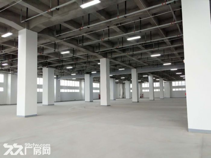 104地块实验室、办公楼、标准厂房出租可分割多重政策优惠,具备生物医药研发/生产 - 4