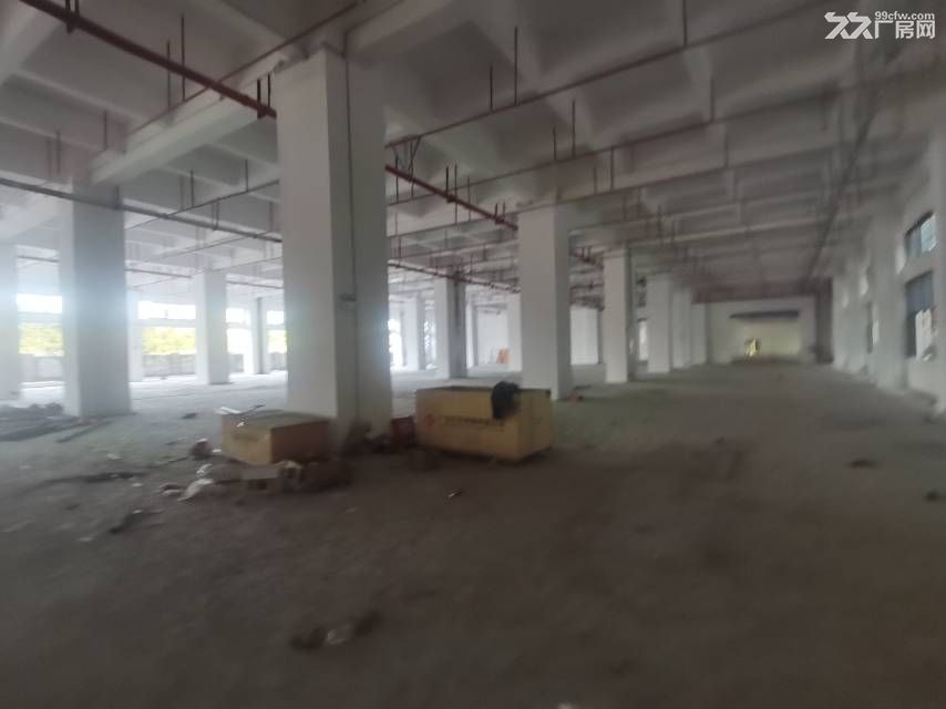 寮步新出原房东新建重工业全新独院价格超低 - 2