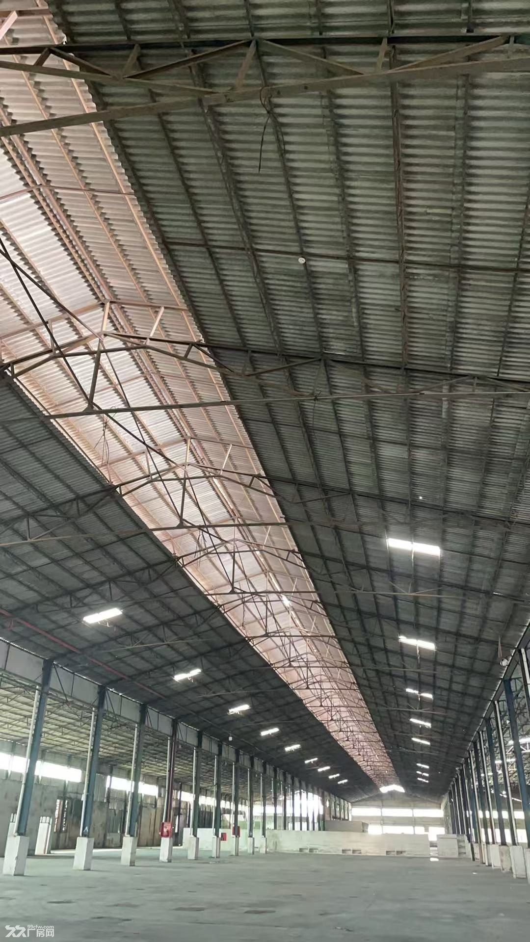 石狮市蚶江镇大平层厂房出租12000平方米可做厂房可做仓库