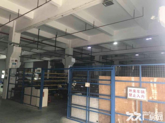禅城石湾工业区独院标准厂房3900平,空地3500,带红本,易招工,交通便利 - 5