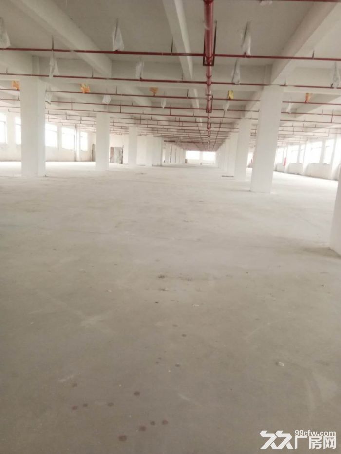台山工业新城二次消防喷淋全新独门独院厂房1-2层出租 - 4