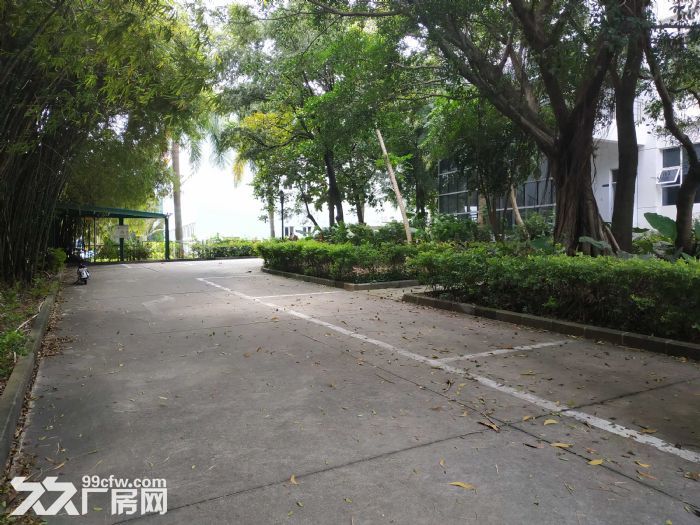 (精推小独栋)科技园 稀有1500平可冠名 空地大停车位充足