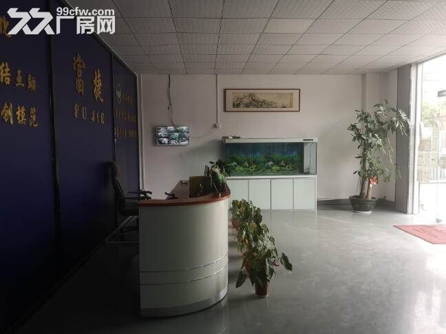 清溪铁松村原房东独院厂房3600平,带装修办公室,可分租,可进拖头车,可办环评 - 4