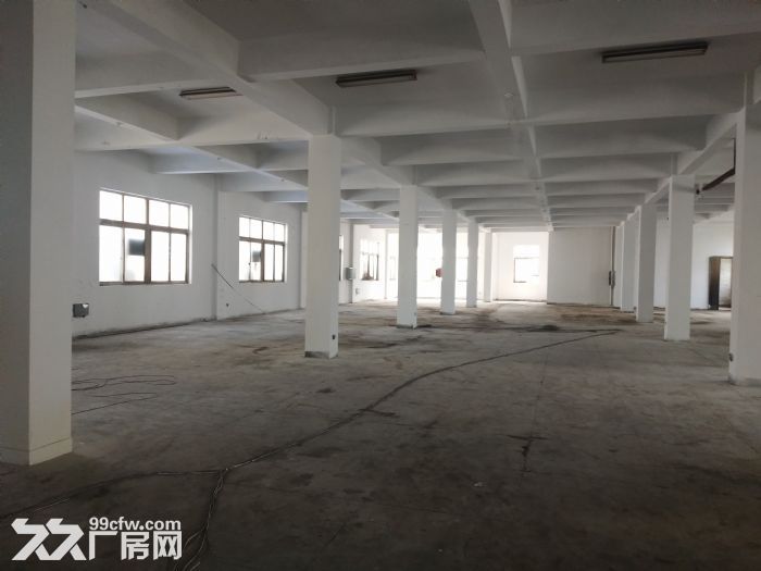 炬光园工业区1000平方,可用