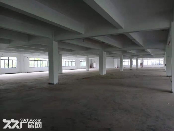 胜浦多层 5200平标准厂房  可分租 价格便宜