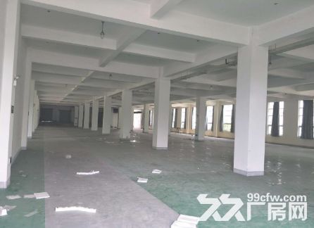 出租海沧标准厂房1-5楼每层2000平