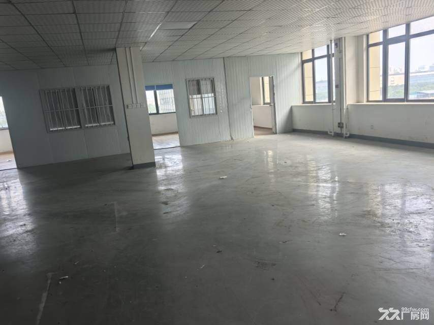 出租新站区标准厂房350平，有分割好的办公区域和做好的地坪漆 - 4