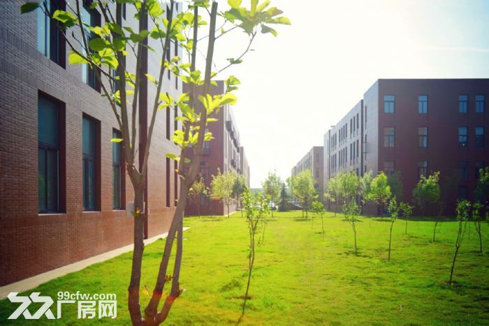 胶州1200—3200平全新标准厂房对外出售50年大产权,双证 - 7