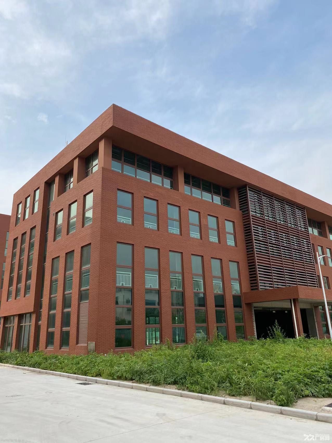 永兴厂房出租20000m² 可分租