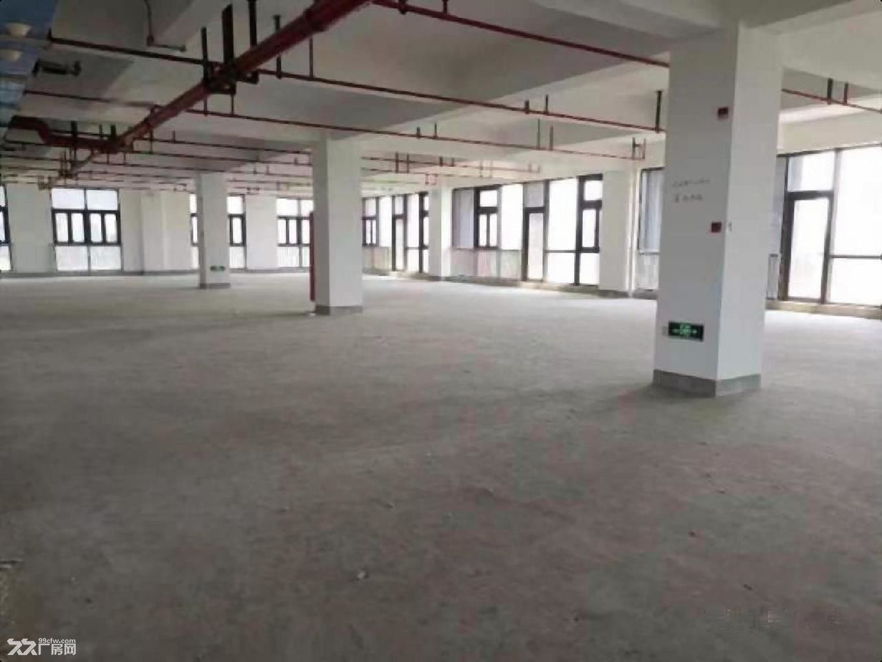 全新独栋地铁口办公楼带产业补贴可注册办公培训 展厅研发中心 - 5