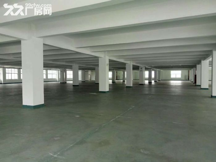 漳州港工业区食品产业聚集地厂房招租