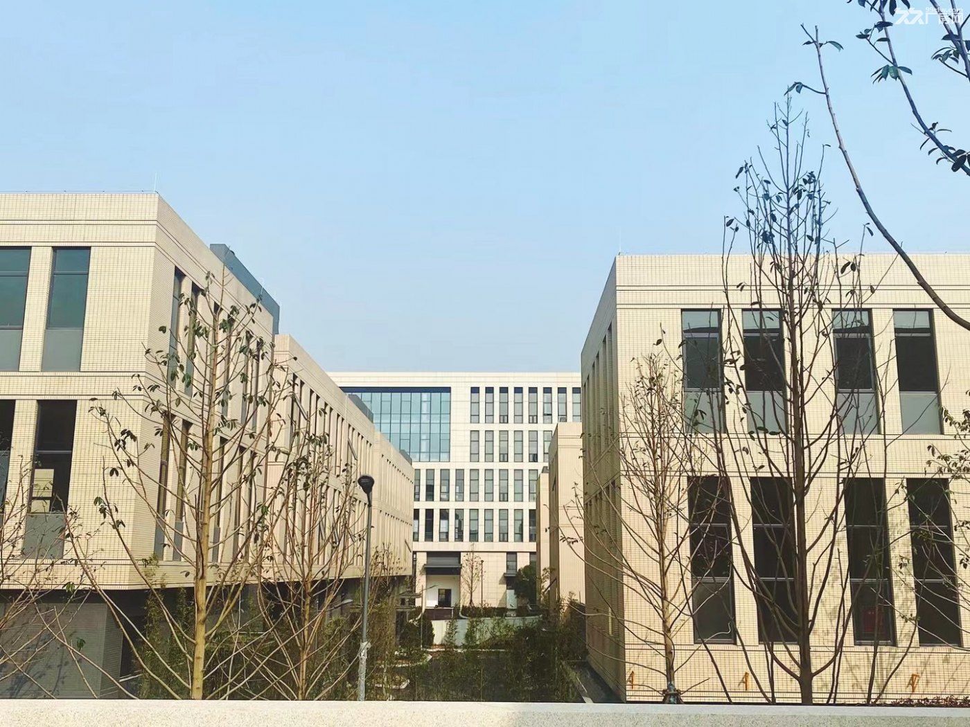 出售高新区电子信息园独栋平层，1000平起