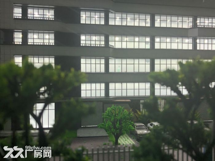 稀缺厂房邻上海厂房出售2124平标准厂房可注可按揭 - 8