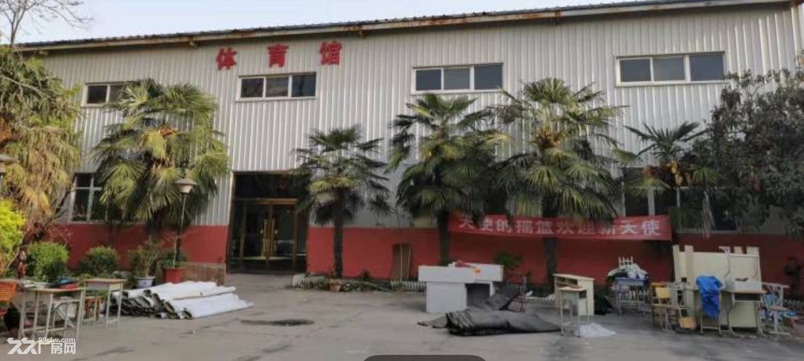 花园式独栋院子可分割出租 - 3