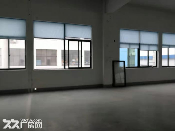 新北厂区宿舍、办公楼出租 - 3