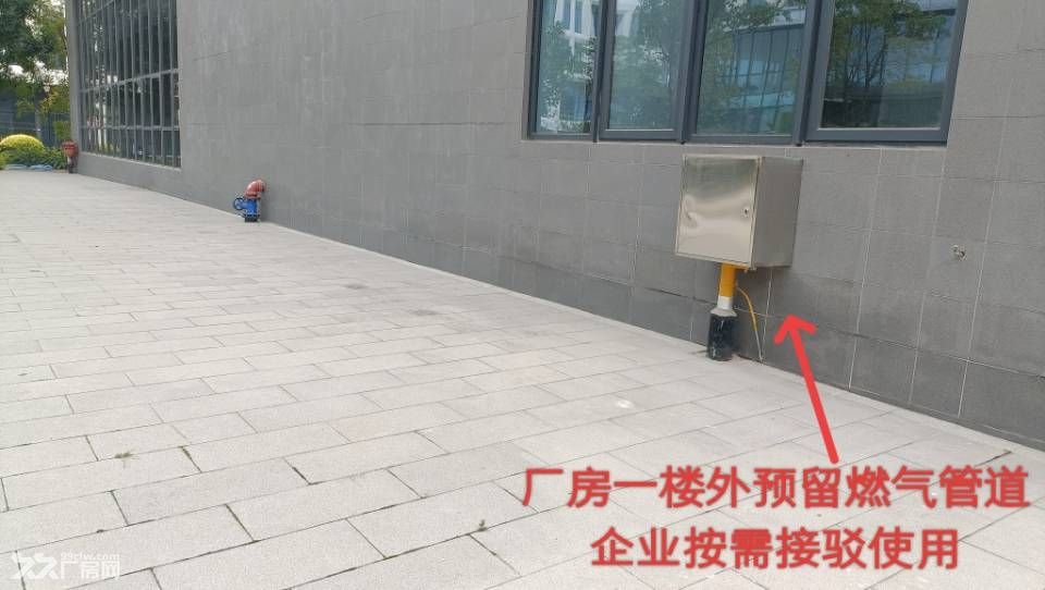 金鼎红本厂房出售-独栋/分层-5字头起，即买即用即出证 - 6