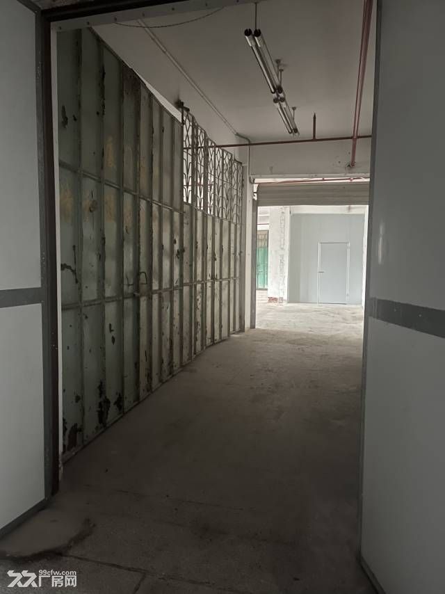 思明区龙山东路13号220平方的通用标准厂房 - 4