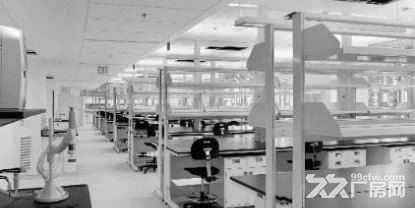 张江药谷办公实验室(细胞房 分子 理化分析实验室)整层1千平,可分割 - 2