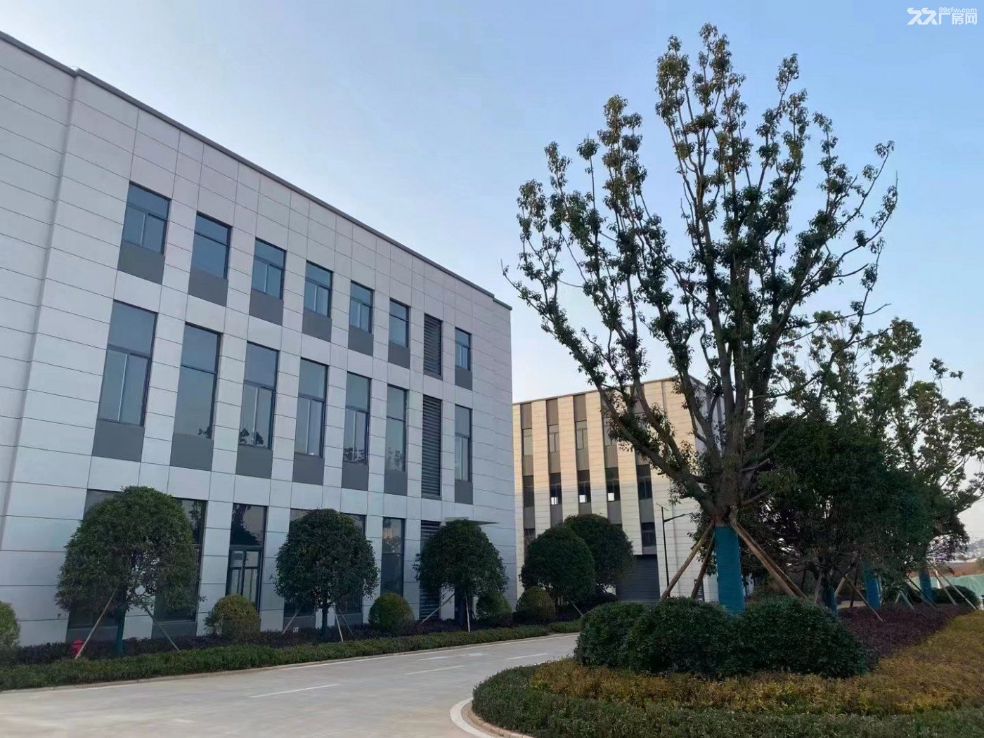 2层绝版工业厂房，研发生产办公于一体，现房最后3席 - 2